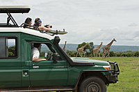 Safari-Trekking Uganda